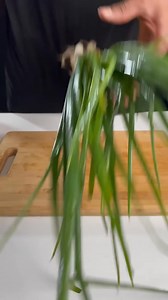 141K views · 2.3K reactions | Veg momos 襤襤 ASMR Cooking #asmr #asmrcooking #momos #vegmomos #vegitablemomos #momosasmr #viralmomos #momosrecipe | Indian Vlogger Gaurav | Facebook