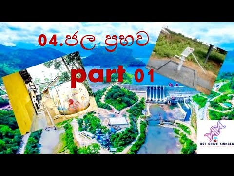 ජල ප්‍රභව part 01| BIO SYSTEMS TECHNOLOGY | A/L | BST Sinhala| BST Lessons Sinhala|