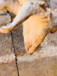 2.1K views · 52 reactions | K50 if you can identify this ka small human being using the Nursing care plan珞珞 | Mikel Ethan-Reliable Mentor | Facebook