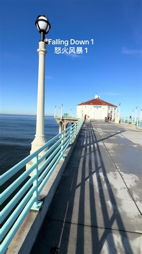 Falling Down: Climax at Venice Pier