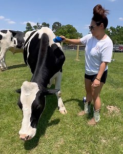 95K views · 15K reactions | A spa with a happy ending | Shirtless Jake's Homestead | Facebook