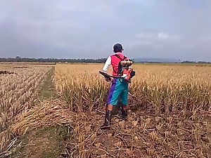 Mesin potong padi | Magic Device