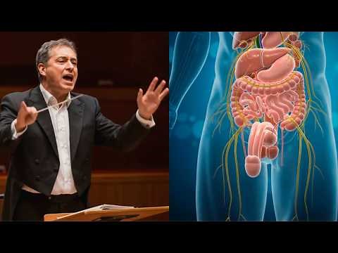 Male Ejaculation: Exploring the Physiology