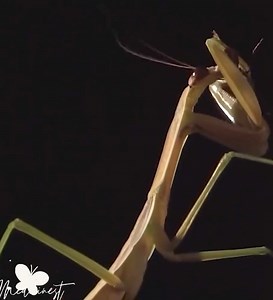 768K views · 6.8K reactions | The lucky tutor and the cool young lady #filmjepang #film #dramajepang #dramajapan #drama #jepang #jalurmantap #japan #viralvideo #video #viral | บ้านมหาเฮง | Facebook