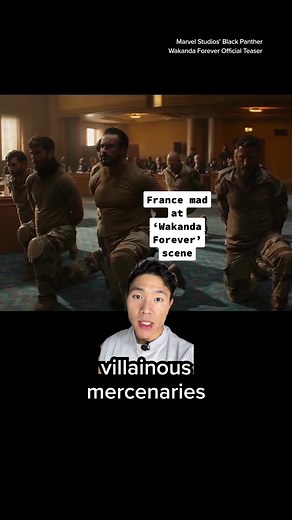 French Defense Minister Critiques Wakanda Forever Scene