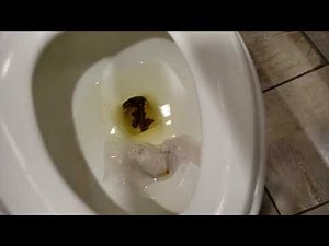 kohler and zurn at the walmart restroom