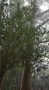 Entre Nubes... | Entre Nubes