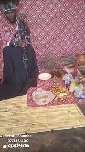 Svikai pano maZimbo. Ko mukumboitei uko mudzimba dzevanhu. Inzvai nyaya yatasangana nayo kwaSekuru Shumba. Haa sekuru vakaipa manje zvionere wega zvirikuitwa na Sekuru Shumba, vakaipa! | iHarare.com