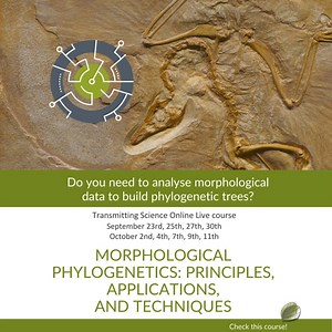 Do you need to analyse morphological data to build phylogenetic...