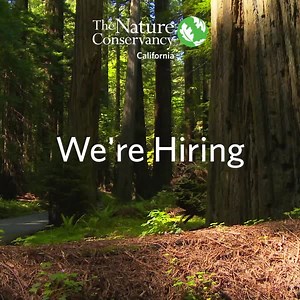 We have multiple positions open at The Nature Conservancy in California! 🌱 🌱 Fire Ecologist 🌱 Avian Monitoring Technician (seasonal) 🌱 Chief Development Officer, California Chapter We are committed to having a diverse and highly qualified candidate pool and appreciate your assistance in sharing the job posting across your networks. To apply, or to learn more about each opening, visit the TNC Careers webpage at: https://nature.ly/4d14eRr. | The Nature Conservancy in California