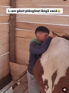 Am văzut copii plângând că nu au primit ultimul model de Iphone, dar nu am văzut copii plângând de fericire că au primit o vacă cu lapte.🥺💔 | Stiri BN