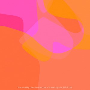 2K views · 38 reactions | “I accept that people do feel hopeless… but that doesn’t mean that we shouldn’t continue to utilise the levers that we have.” Wendy Chamberlain talks about the need to keep striving for peace. | Liberal Democrats | Facebook