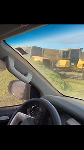 1.5K views · 13 reactions | There is work involved in raising Brahman...