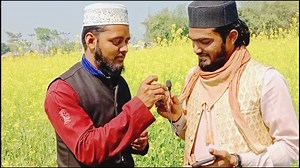 Koi Gul baki rahega na chaman rah jayega #naatsharif | Nizami support