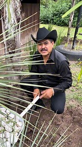 42K views · 1K reactions | Muy buen inicio de semana para todos 鸞﫰✨...