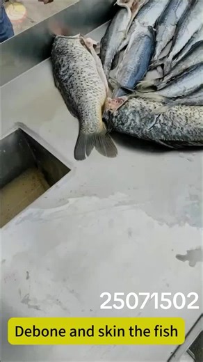 meatmachineryorangegroup on TikTok