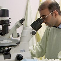 Video: Monitoring Hippo Signaling Pathway Activity Using a Luciferase-based Large Tumor Suppressor LATS Biosensor