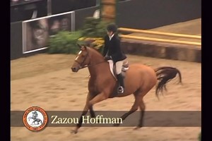 We utilize a variety of seats on course in the jumping disciplines, and, ideally, one strives to master all seats. It’s crucial to develop proper balance in the stirrups and a solid foundation in the tack, which leads to the all important ability to be tactfully effective. Learn to master these seats and use them where they apply in my Building Blocks to a Great Position lesson series. https://equestriancoach.com/courses/building-blocks-great-position-part-5-sit-or-not-sit/ | EquestrianCoach