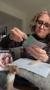Jo Hobbs - UK needle-felting maestro via Stuart Miller on bsky | Tim Mitchell