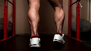 Are 18 Inch Calves Big?
