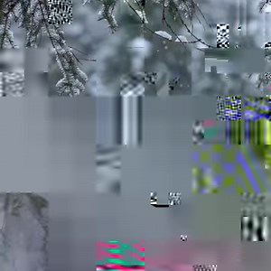 În Port Protection, viața urmează un ciclu rămas neschimbat de zeci de ani, centrat pe adunarea proviziilor. Tinerii din noua generație învață de la bătrâni cum să supraviețuiască, apreciind în același timp ceea ce le oferă natura. Ascultă-i sunetele și urmărește noul sezon al seriei „Viața sub zero grade: Insula fără legi”, astăzi la 16:00, la National Geographic. | National Geographic