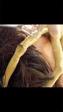 The Alien Parasite! 🛸👽 Acid Blood Disaster In Space | Life-Support Horror |