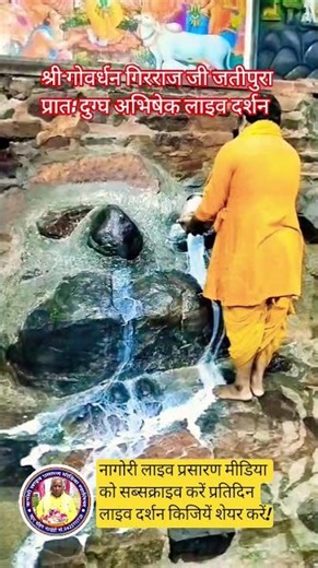 Shri Girraj Ji Jatipura Abhishek Darshan #pujyapanditpradeepmish#youtubeshorts#viral#trending#vir...