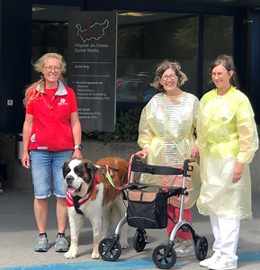 Die Sozialhunde der Fondation Barry