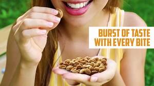 Honey Roasted Peanuts - 24oz Delicious Sweet and Salty Snacks Made with Real Honey and Roasted Nuts for Irresisitible Crunch, Great for Party Snacking, Gatherings - Plant-Based Protein, 1.5 LB