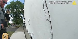 Dog, kitten rescued from hot camper