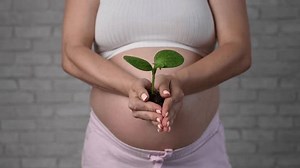 Die Schwangere streckt sich vor einen: Stockvideos & Filmmaterial (100 % lizenzfrei) 1108239281 | Shutterstock