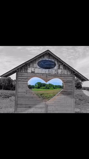Dogwood Farms near Winston-Salem, NC | Steve Hopper