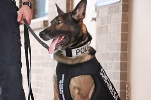 K9 Cops Receive Bulletproof-Stabproof Vests