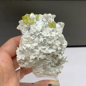 Sphalerite (var. cleiophane), talc and quartz from Ait Ahmane (Morocco) size: 8.5 cm, price: $320 ( shipping fee). Please PM for more details. We ship worldwide. To see more of our minerals visit www.SpiriferMinerals.com 1906 #spiriferminerals #spirifer #mineralcollecting #mineralspecimen #mineralcollection #rockhounding #rockhound #minerals #mineral #rocks #rock #fineminerals #mineralogy #geology #nature #talc #sphalerite #cleiophane #sphalerite #moroccanminerals #africanminerals #mineralsfrosa