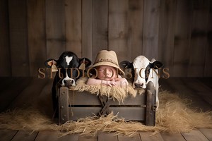 Newborn farm digital background, baby digital backdrop, cows, cowboy, barn, baby overlay, photoshop composite, baby backdrop