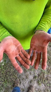 57 reactions · 47 comments | Tannic Acid stain from Live Oak tree, as soon as you wash them with hot water, they turn black. | Andy Pridgeon | Facebook