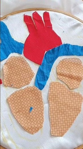 3D Heart Model Science Project