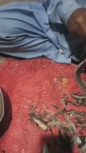 13K views · 199 reactions | #Khalilshikari machhali banane ka aasan tarika #fishinglife | khalil bhai | Facebook