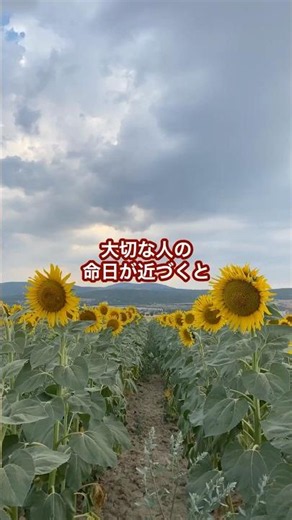 命日が近づくと心が苦しくなるあなたへ
