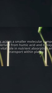 Discover the incredible benefits of humate for your garden! Join our expert speaker as she explains how fulvic and humic acids improve soil structure, enhance aeration, and boost plant health. Unlock the secrets to vibrant, thriving gardens with natural solutions! #GardenHealth #HumateBenefits #SoilScience #FulvicAcid #OrganicGardening #PlantNutrition #EcoFriendly #GardenTips #SustainableGardening #HealthyPlants | Southland Organics