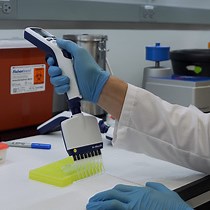 Video: A Guide to Examining Intramuscular Fat Formation and its Cellular Origin in Skeletal Muscle