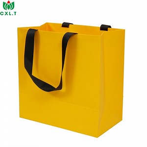 [Hot Item] Eco-Friendly Custom Printed Gift Bags for Shoes and Clothing