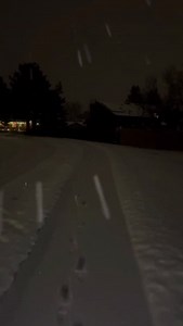 Walks alone > . . . . . #snow #night #calm #naturephotography #aesthetic #reels #dreamcore #aesthetically #winter #night #bluehour #dark #reels #nature #relax #walk #alone | Stuckkonearth