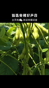 历史纪录片-世纪城堡