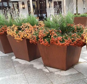[Hot Item] Tall Steel Metal Planters /Garden Corten Steel Flower Planter Pots