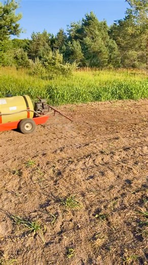 Spraying some Power Plot on my newly planted FIELD PERFECTION seed from Red light Food Plot Seed Co. .. Hopefully we get a passing shower or two in the next couple weeks . My border screen HIDE N SEEK is coming in awesome for only being planted a month ago. | Michigan Outdoor Obsession