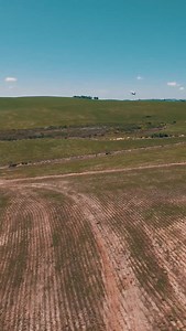 22K views · 1.4K reactions | Hoje o vídeo é diferente! ✨ Na semana...