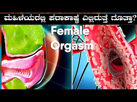 Biology of Female orgasm | Do You Know How Orgasm Is In Females | Female Body And Biology
