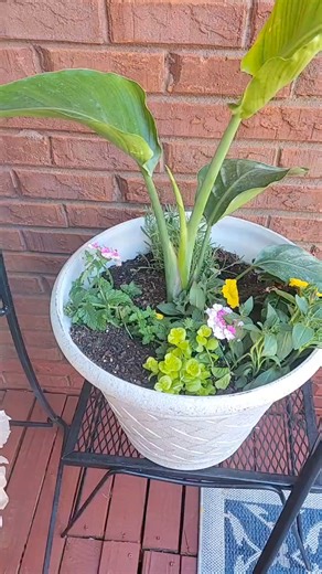 22 reactions · 4 comments | #OurSecretGarden | Our Secret Garden | Facebook