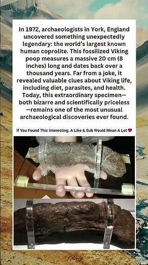 The 8 Inch Viking Poop That Became a Legend 💩